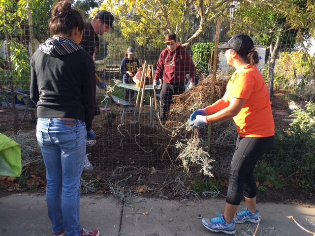 YouthSERVE Gardening project