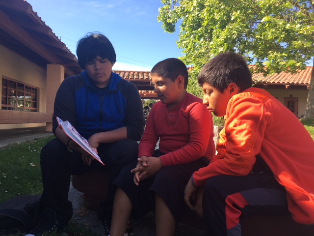 Uncategorized Archives - Kars4Kids Small Grants
