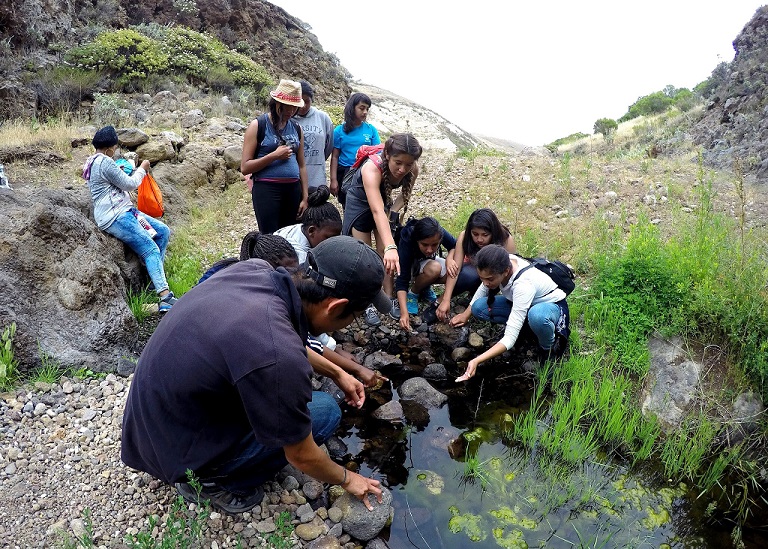 ECS Creek testing