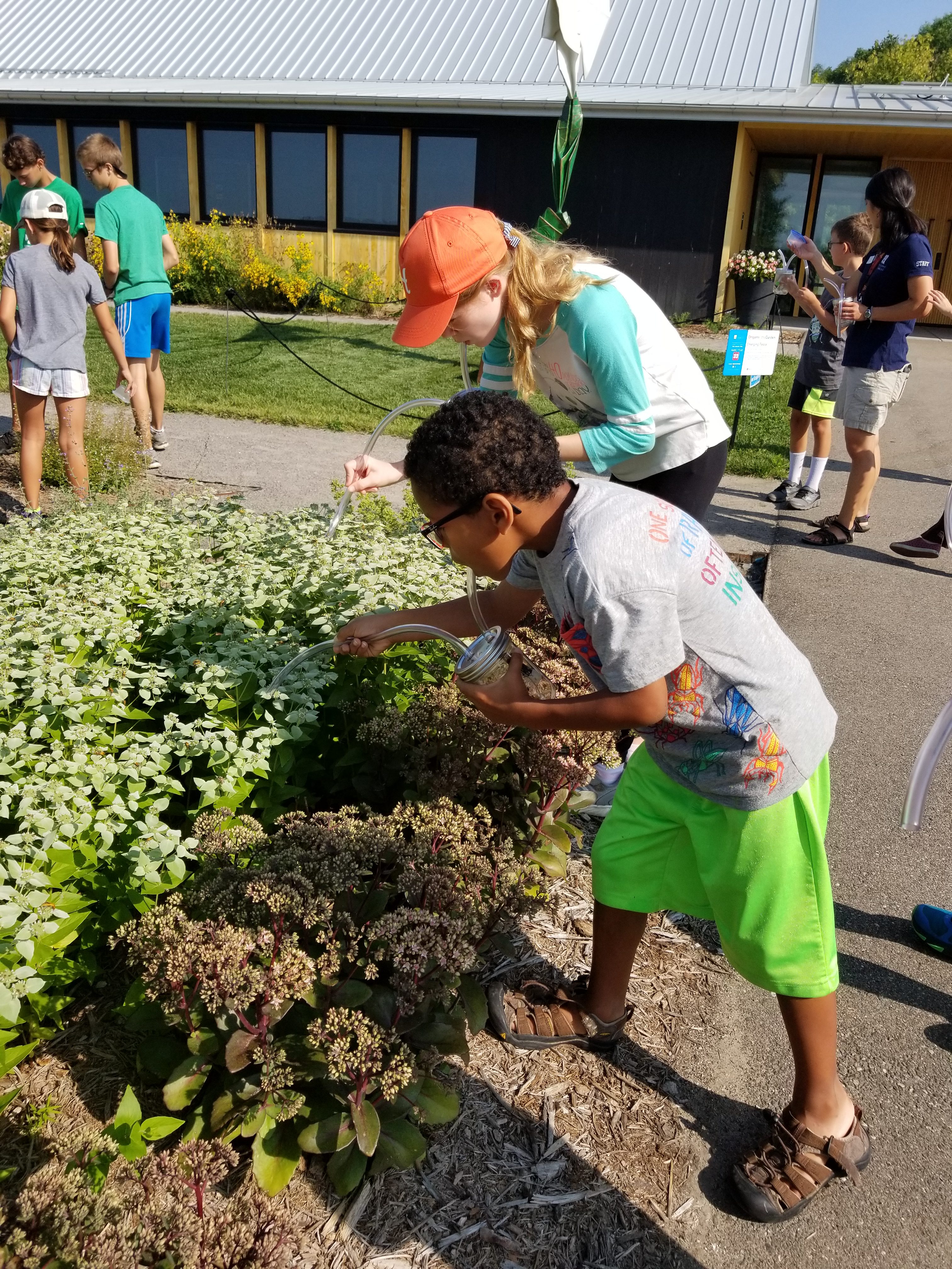 Children engaging in hands on plant experiments at the Arboretum