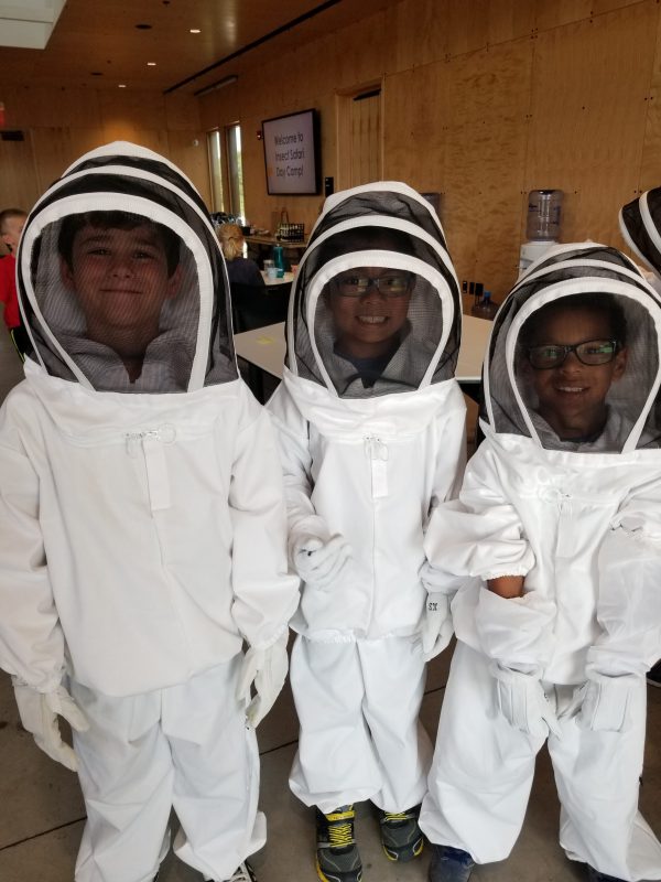 Young bee keepers for a day at the Arboretum
