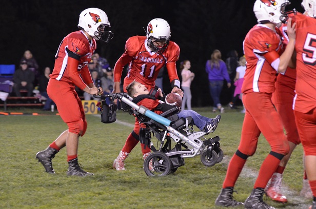 Sparrow "plays" football with team members