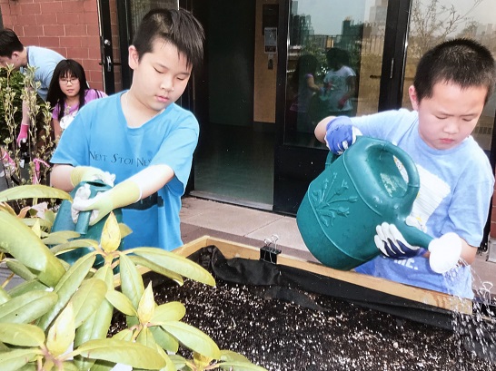 Immigrant Social Services, Inc. (ISS) gardening