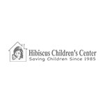 Saving and Protecting Children’s Lives: Hibi