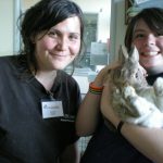 Mentors teach children how to care for animals