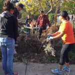 YouthSERVE Gardening project