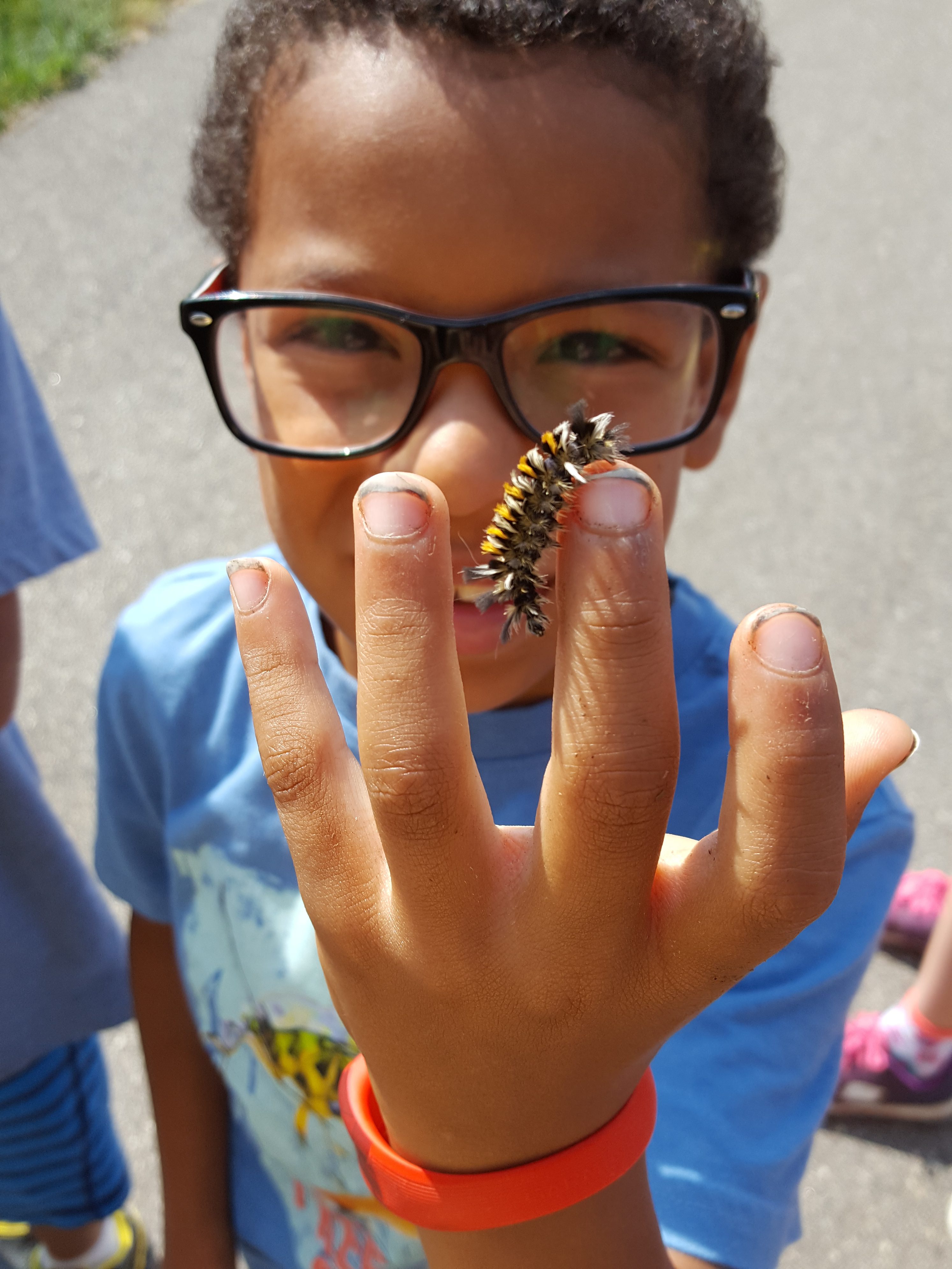 Caterpillar crawls on a smiling young boy's fingers