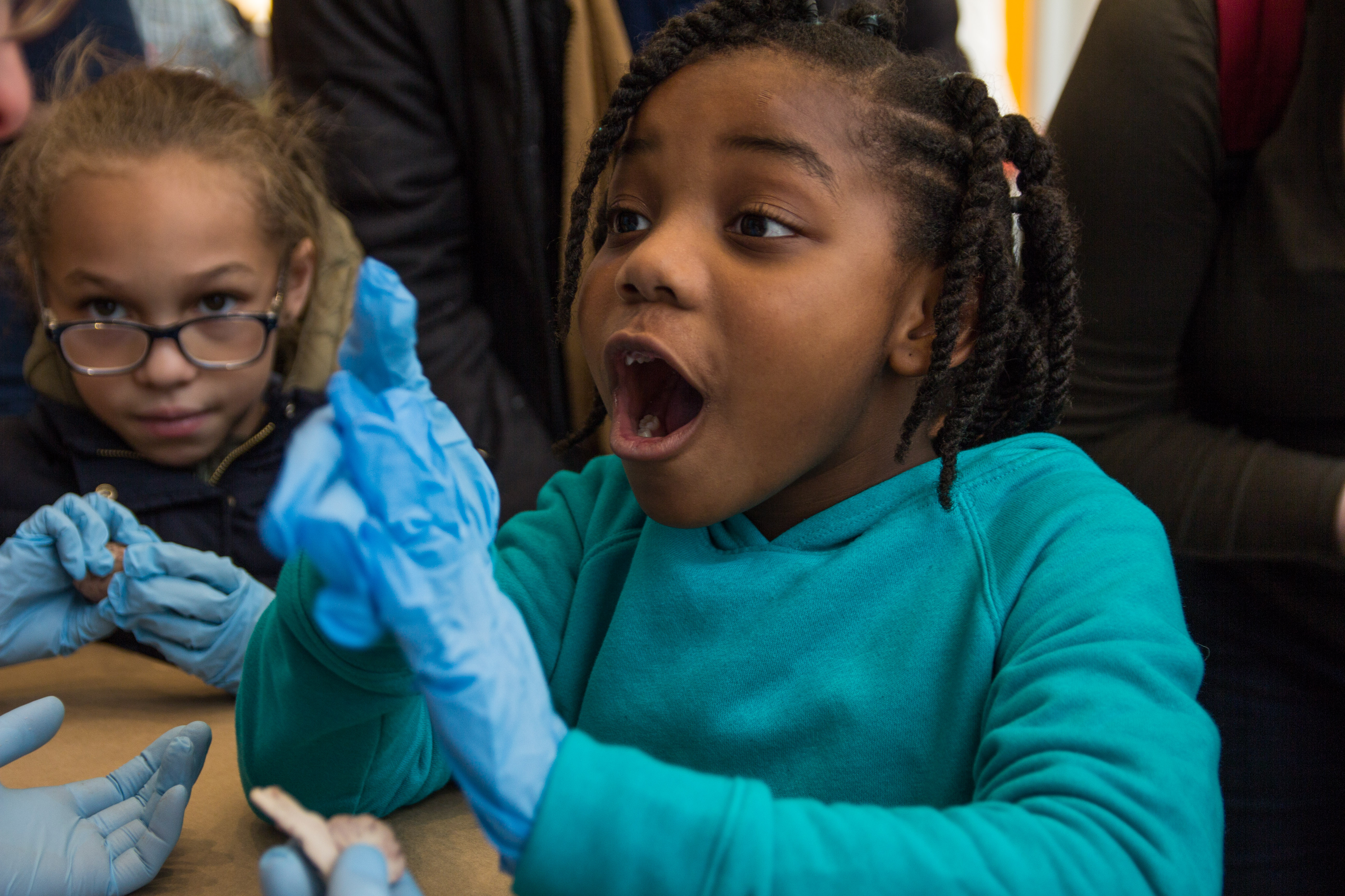 Child expressing excitement over science at BioBase Harlem, BioBus