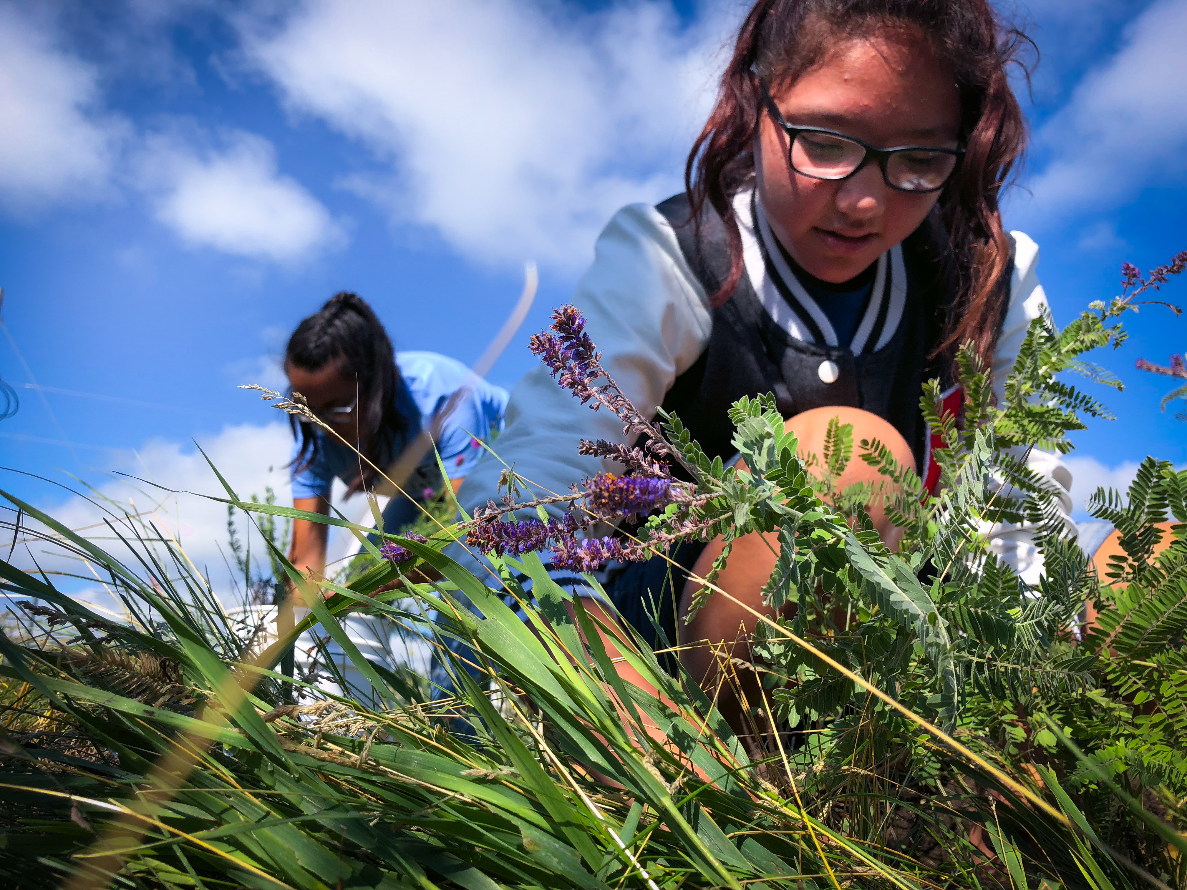 Lower Brule Research participant examines native plant