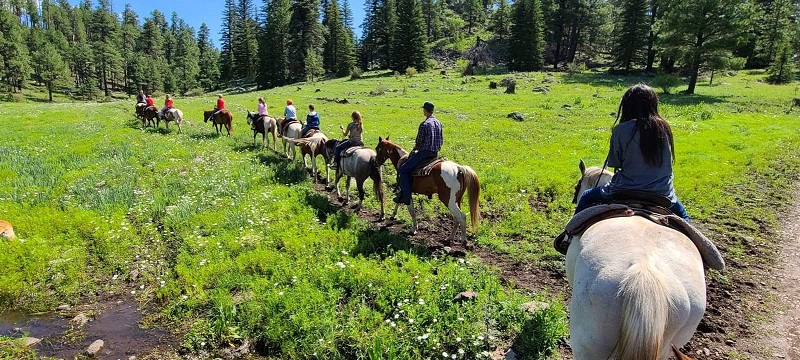 horseback riding with Arizona Outdoor Adventures 