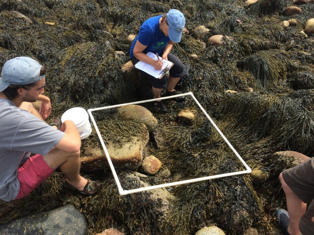 Documenting marine science findings at Seaside Sustainability Inc project