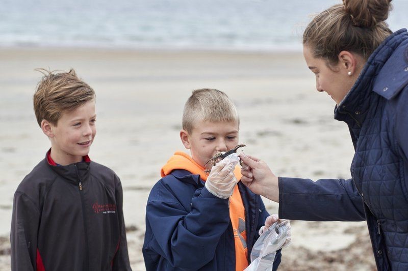 Seaside Sustainability Inc. Teaches Young People to Protect Our Waterways
