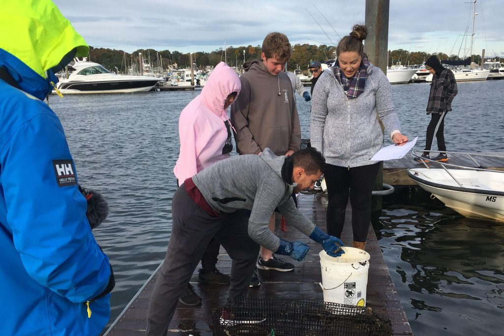 Young people engaged in active marine science project