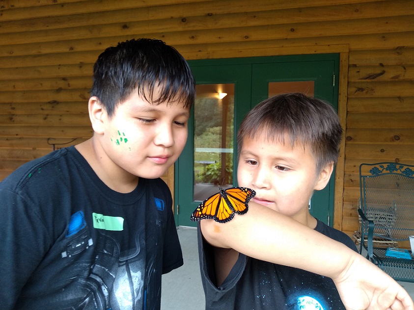 two boys marvel at a monarch butterfly resting on an outstretched arm