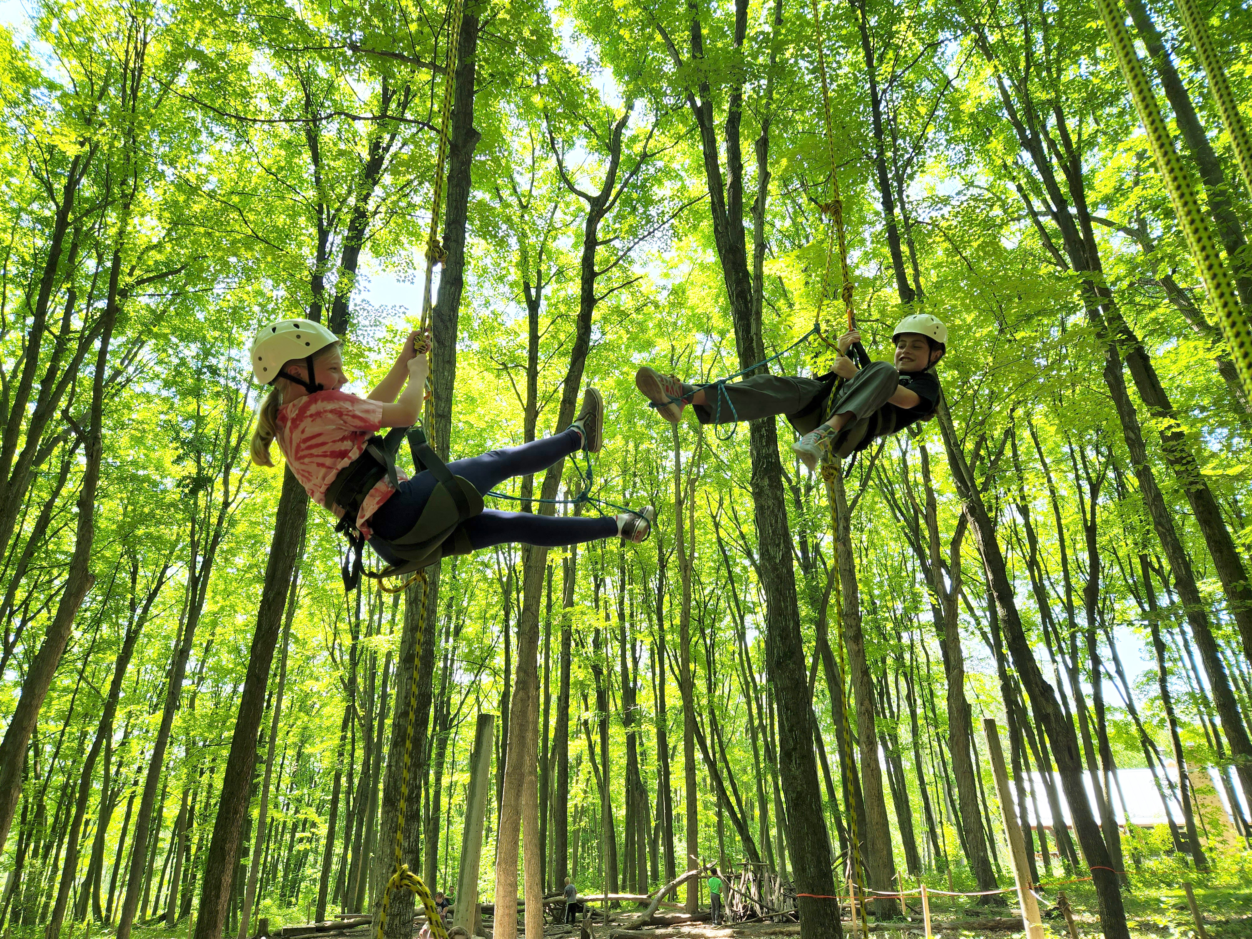 tree climbing riveredge