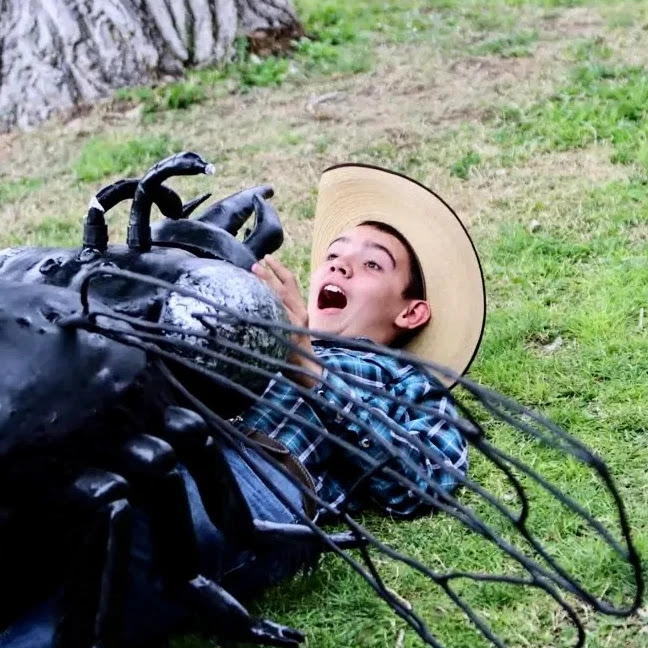 Boy captured by model fly