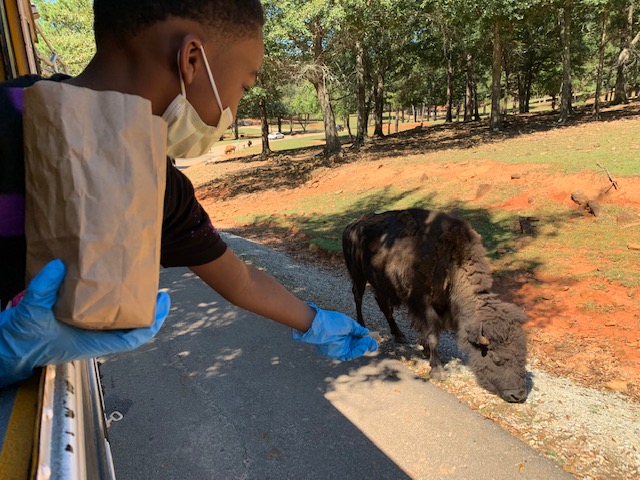 H.E.R.O. for Children participant works with tame animal