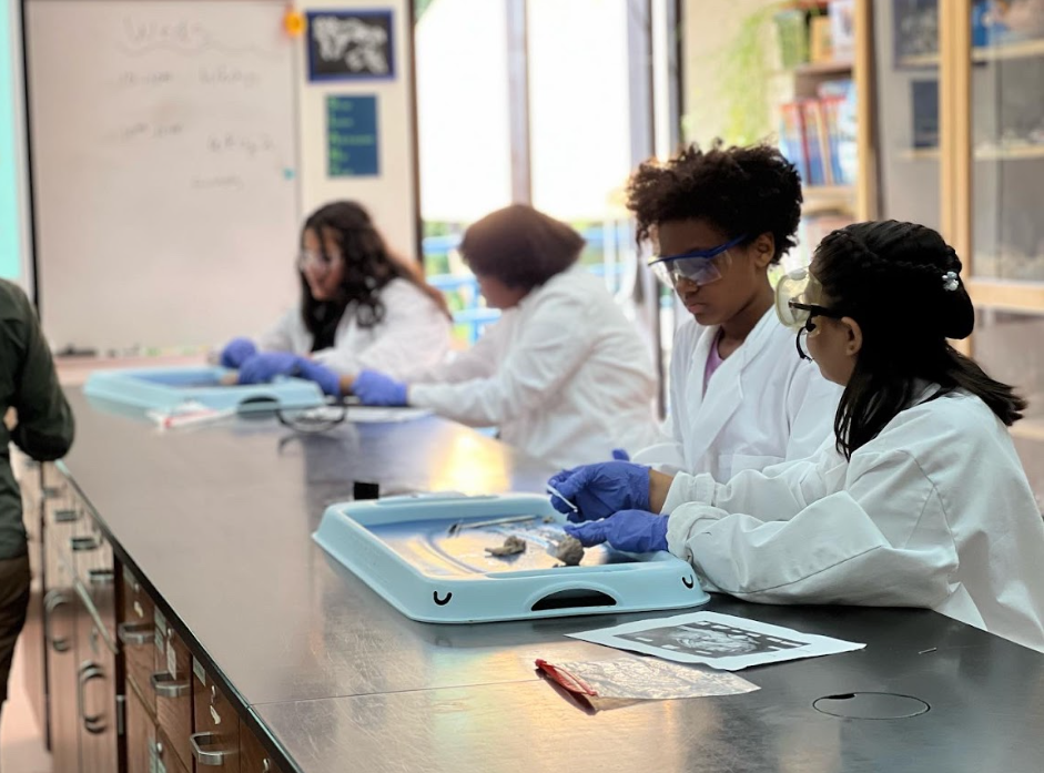 Peak Education Girls in lab coats STEM activity