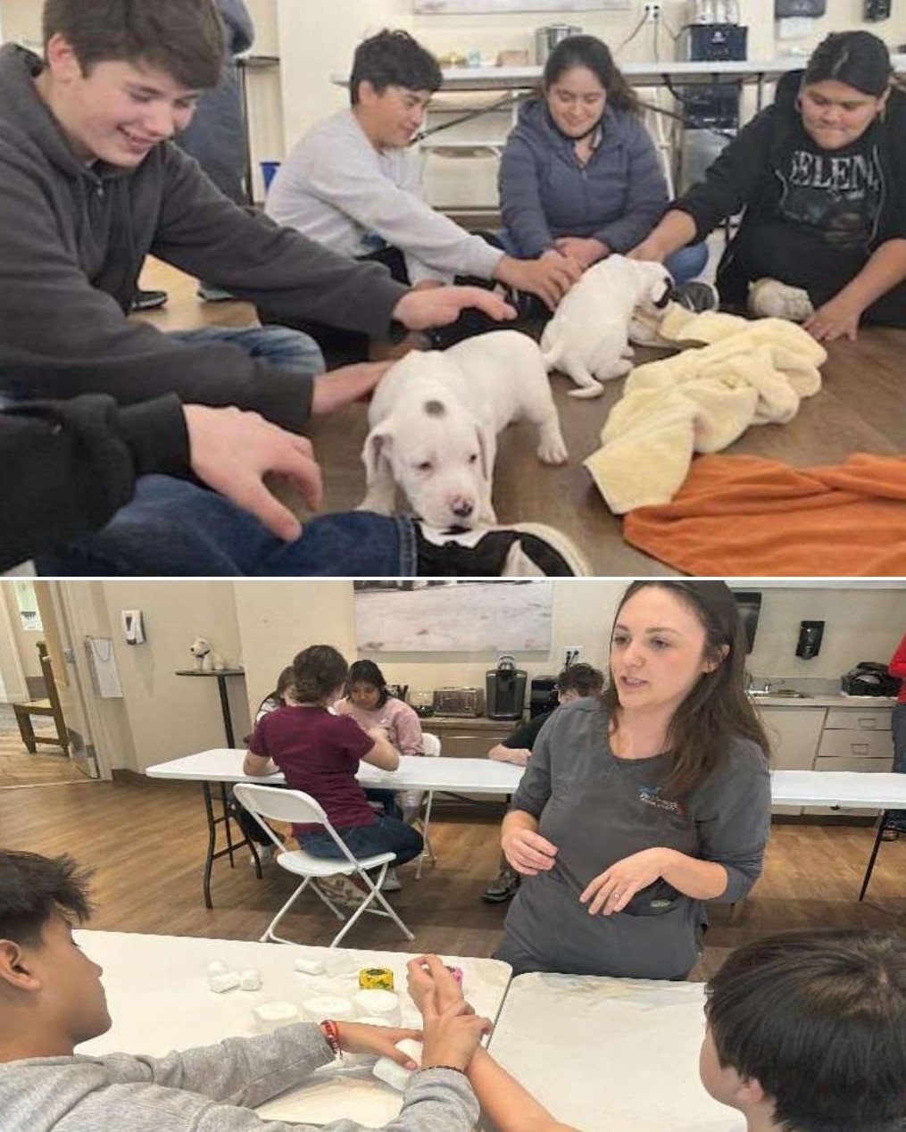 IMS Veterinary Science Exploratory