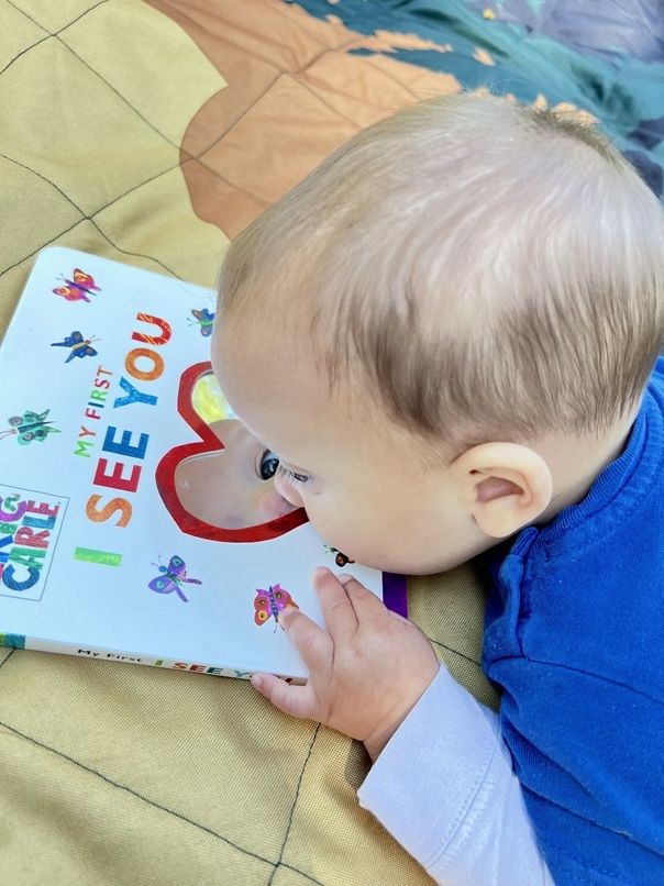 Infant looks at board book cover illustrating that reading starts at birth